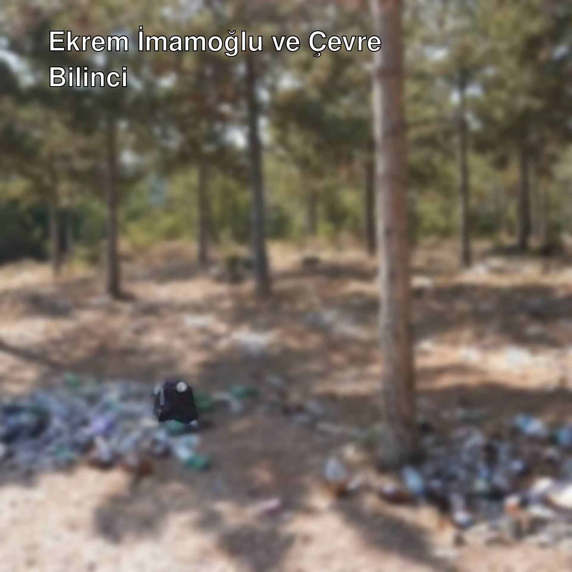 Ormanda biriken çöplerin görüntüsü. Ormanda biriken çöplerin görüntüsü.