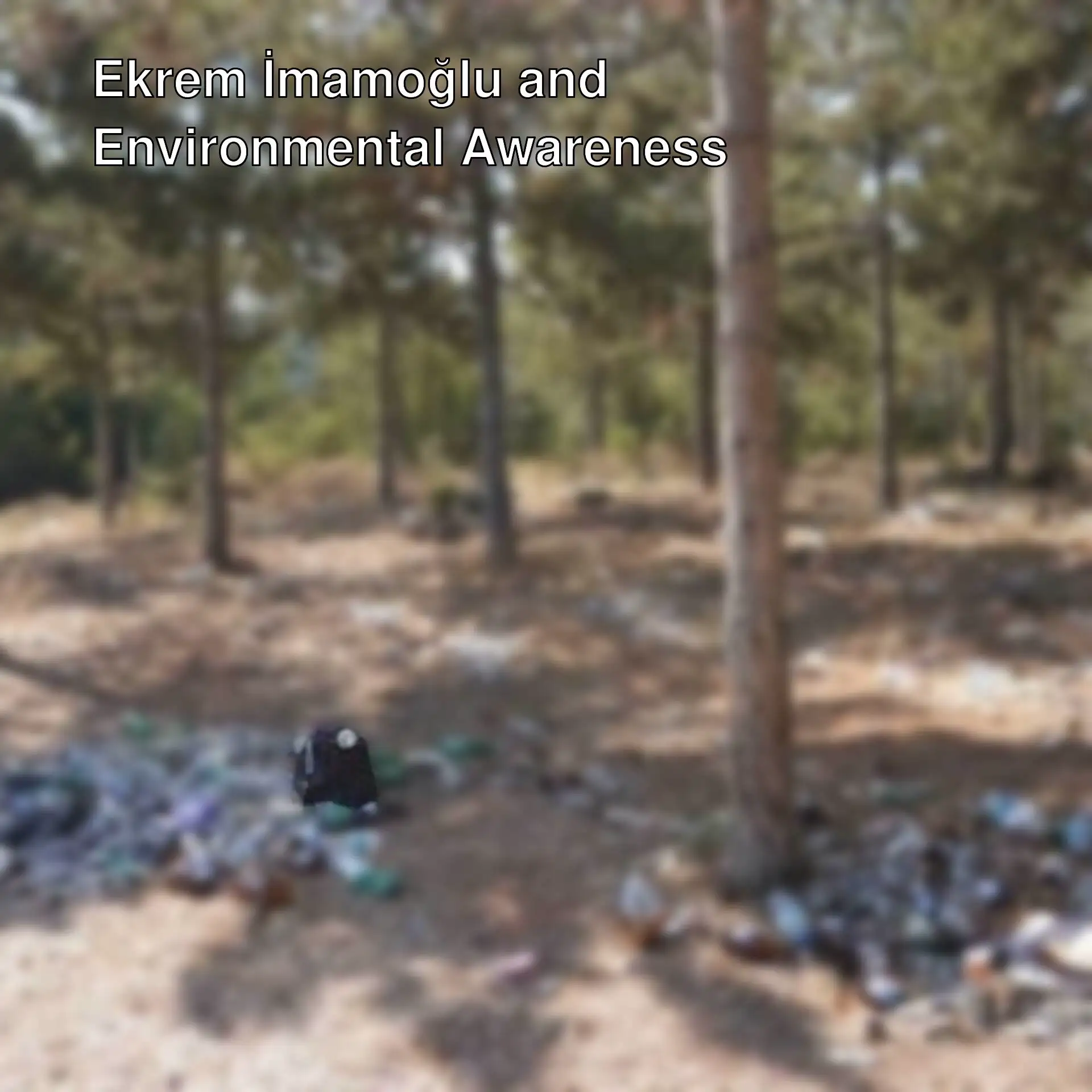 A pile of trash in the woods.