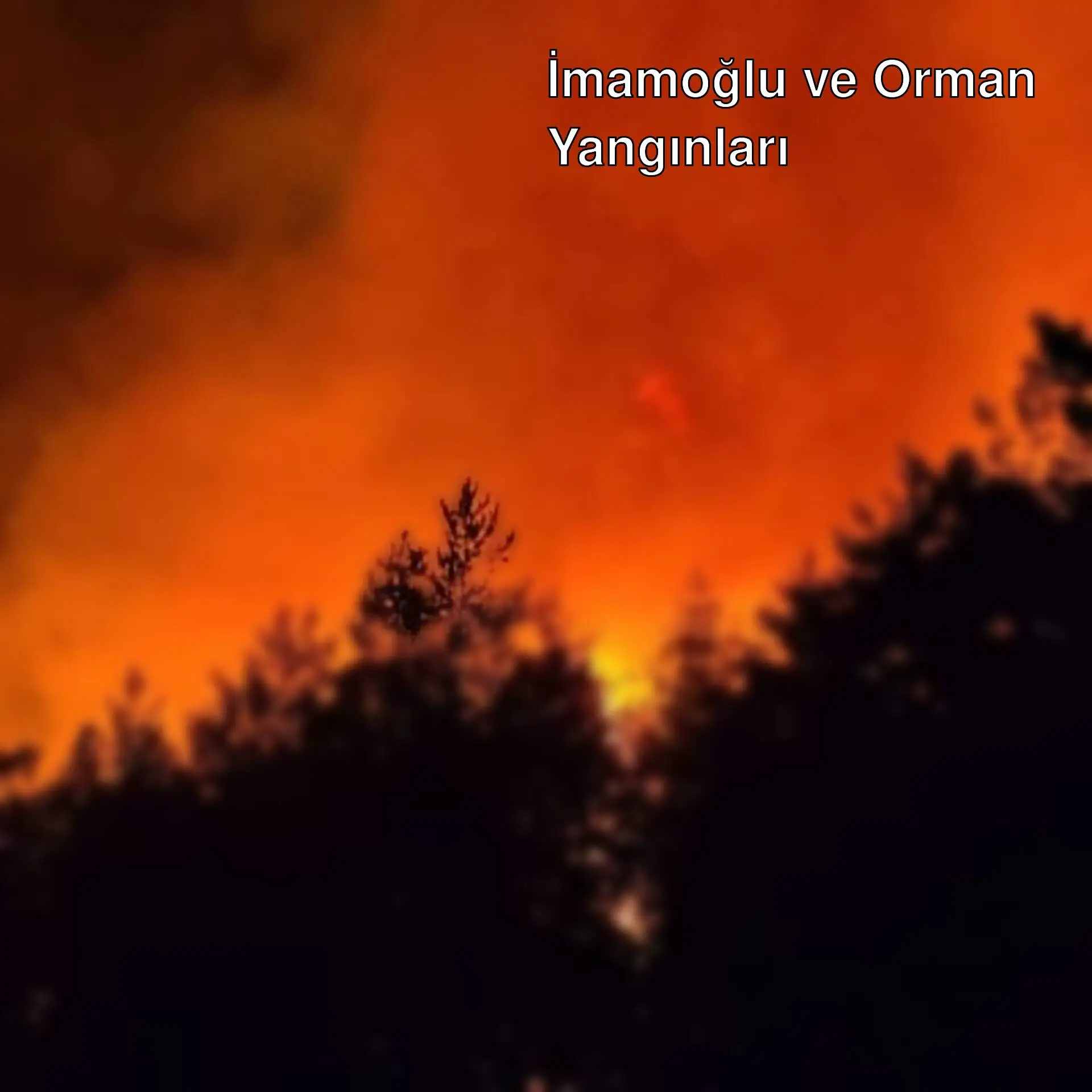 Gece bir orman yangını Gece bir orman yangını