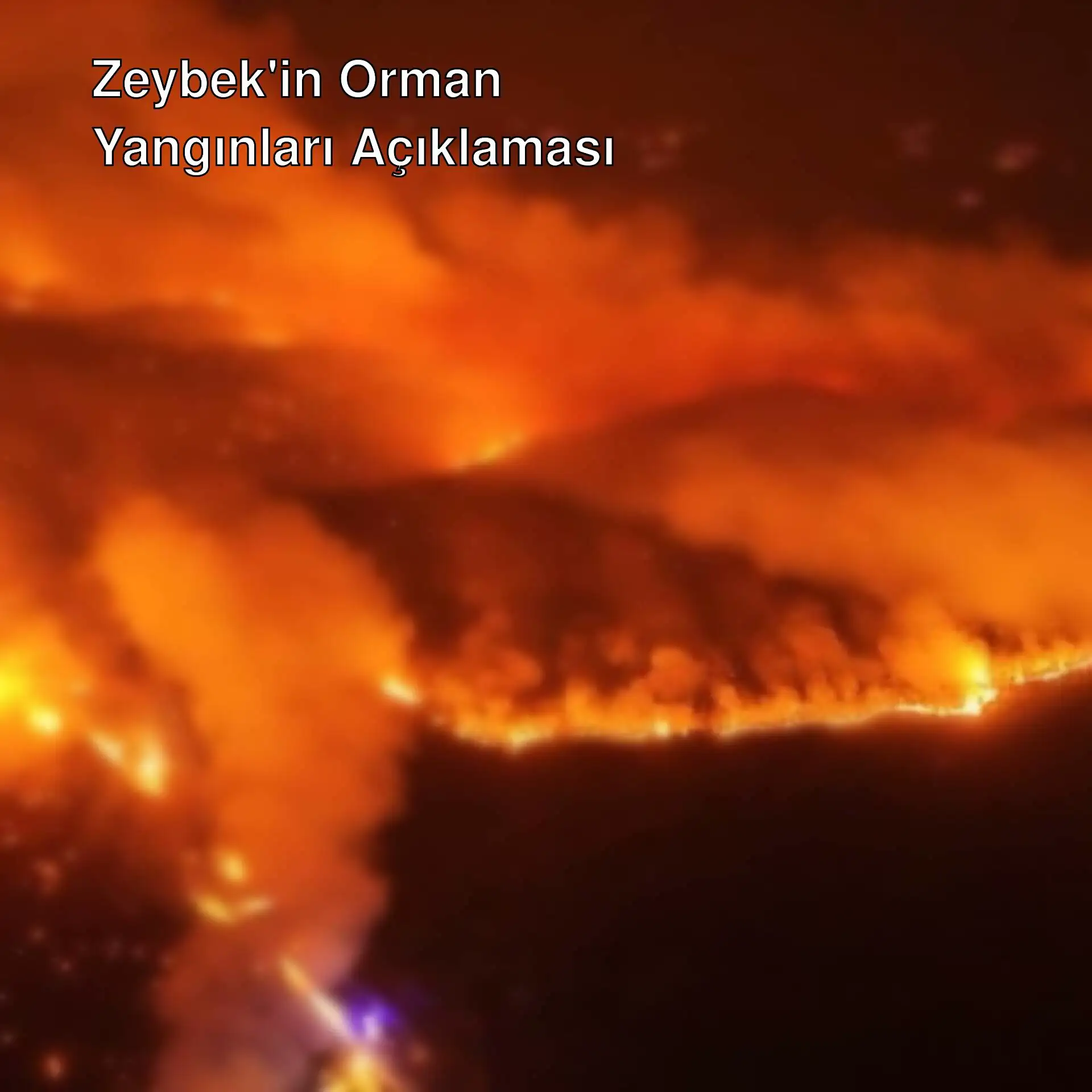 Dağlarda bir yangın Dağlarda bir yangın