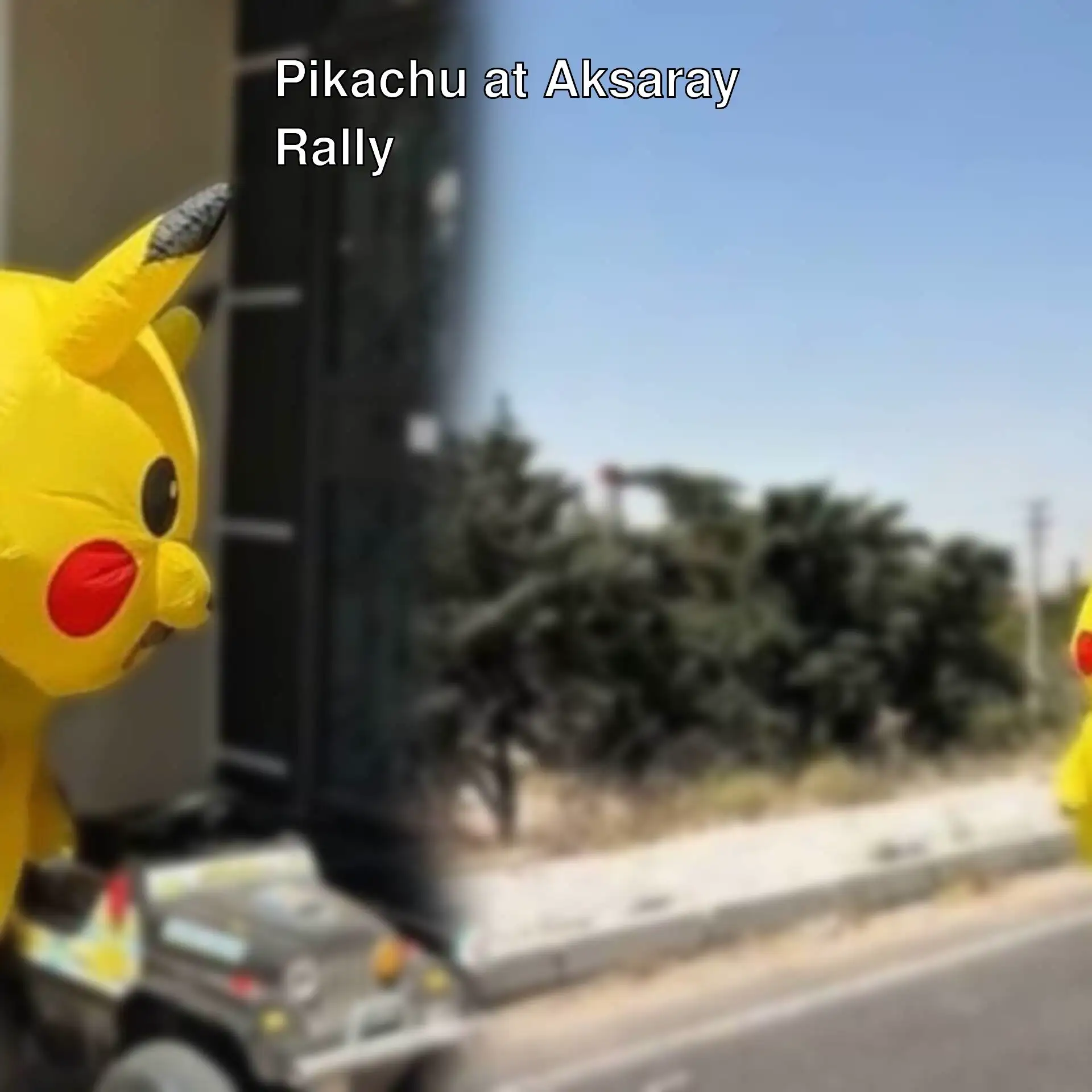 A person in Pikachu costume at the Aksaray rally. A person in Pikachu costume at the Aksaray rally.