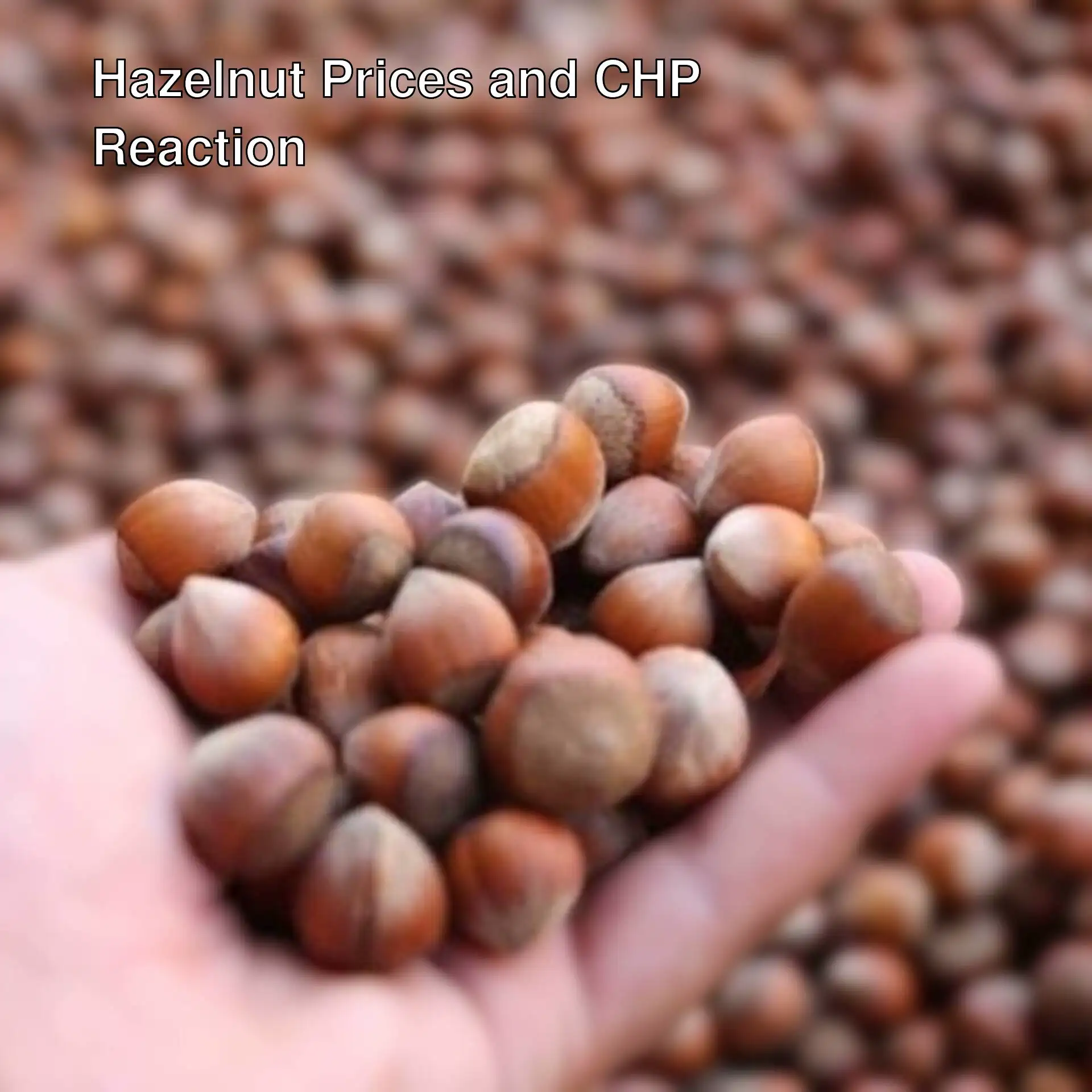 CHP deputies reacting to hazelnut prices.