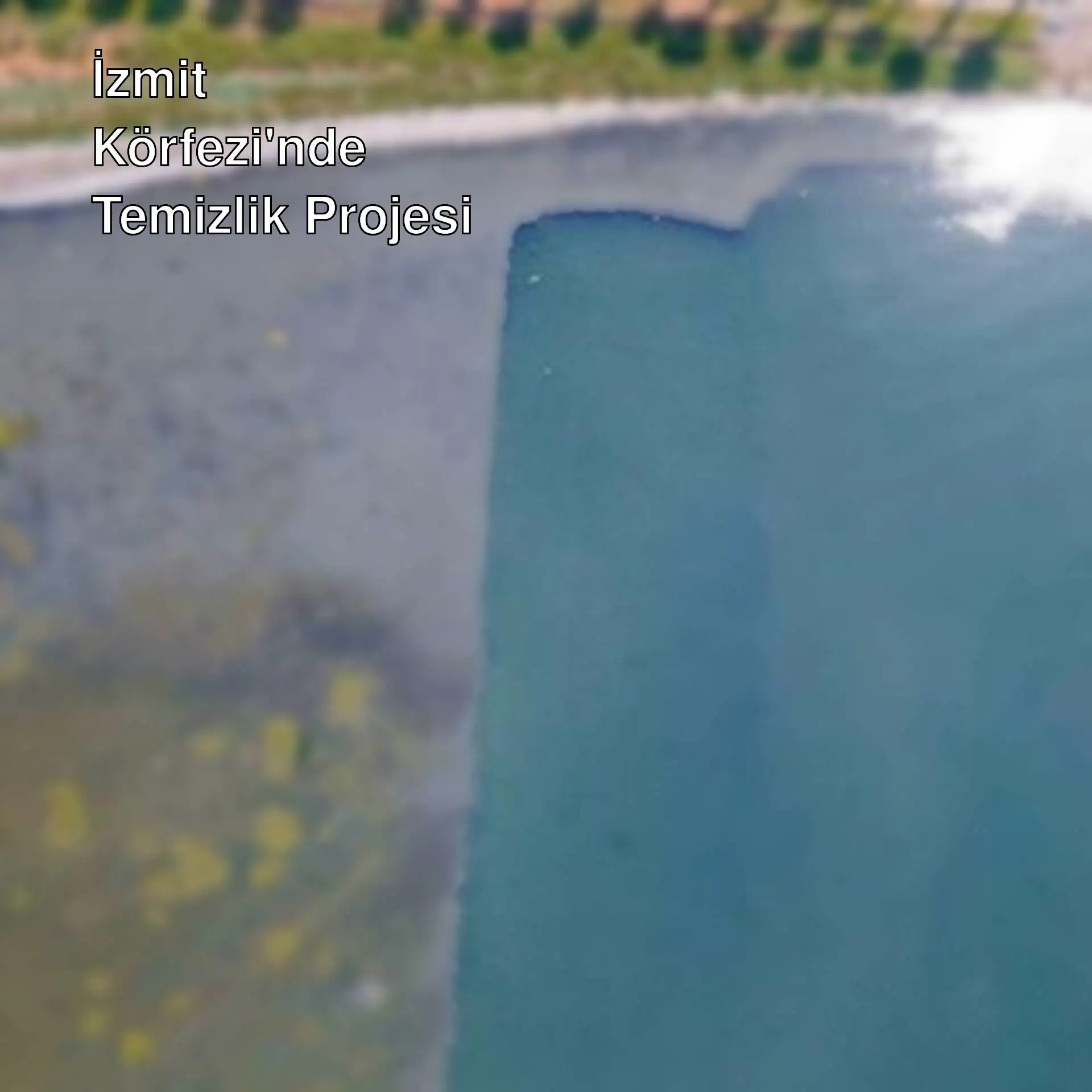 İzmit Körfezi'nde temizlenen alanlar.