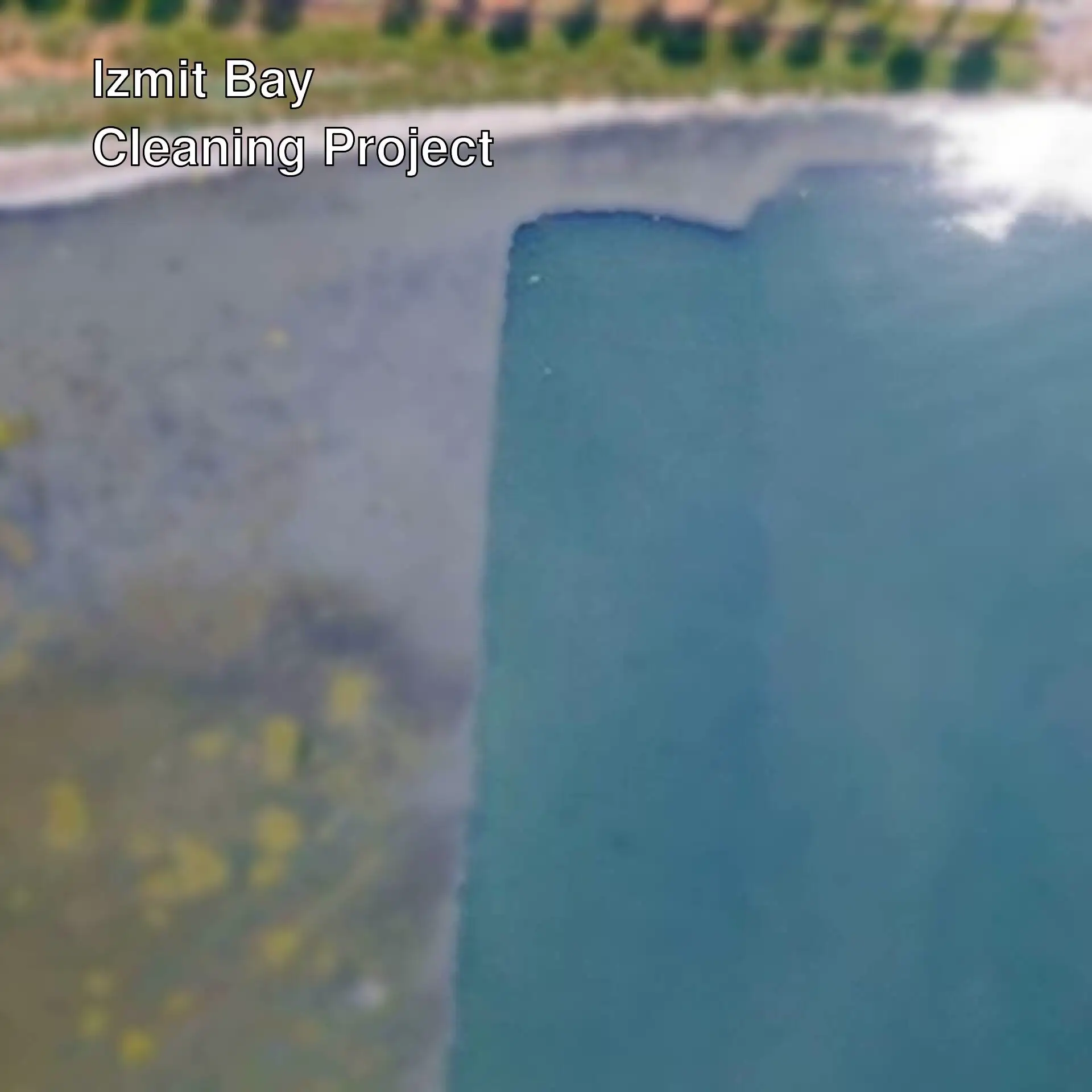 Clean areas in Izmit Bay. Clean areas in Izmit Bay.