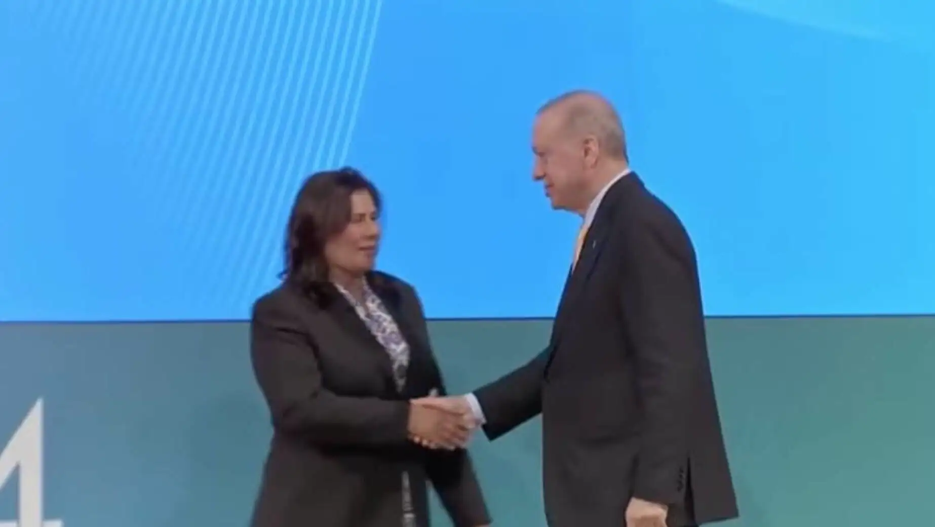 Özlem Çerçioğlu shaking hands with President Erdoğan. Özlem Çerçioğlu shaking hands with President Erdoğan.