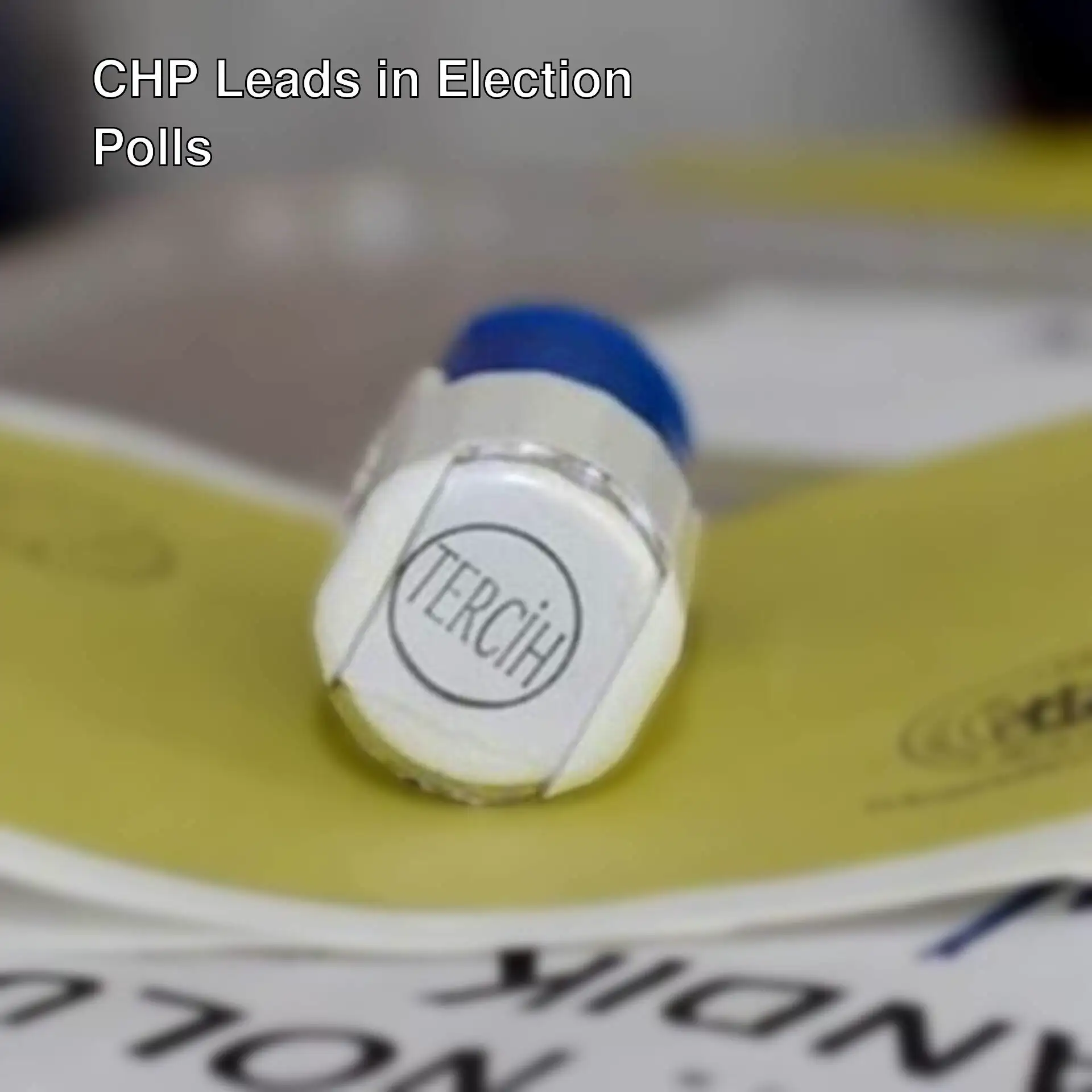 In the latest August poll, CHP was the leading party. In the latest August poll, CHP was the leading party.