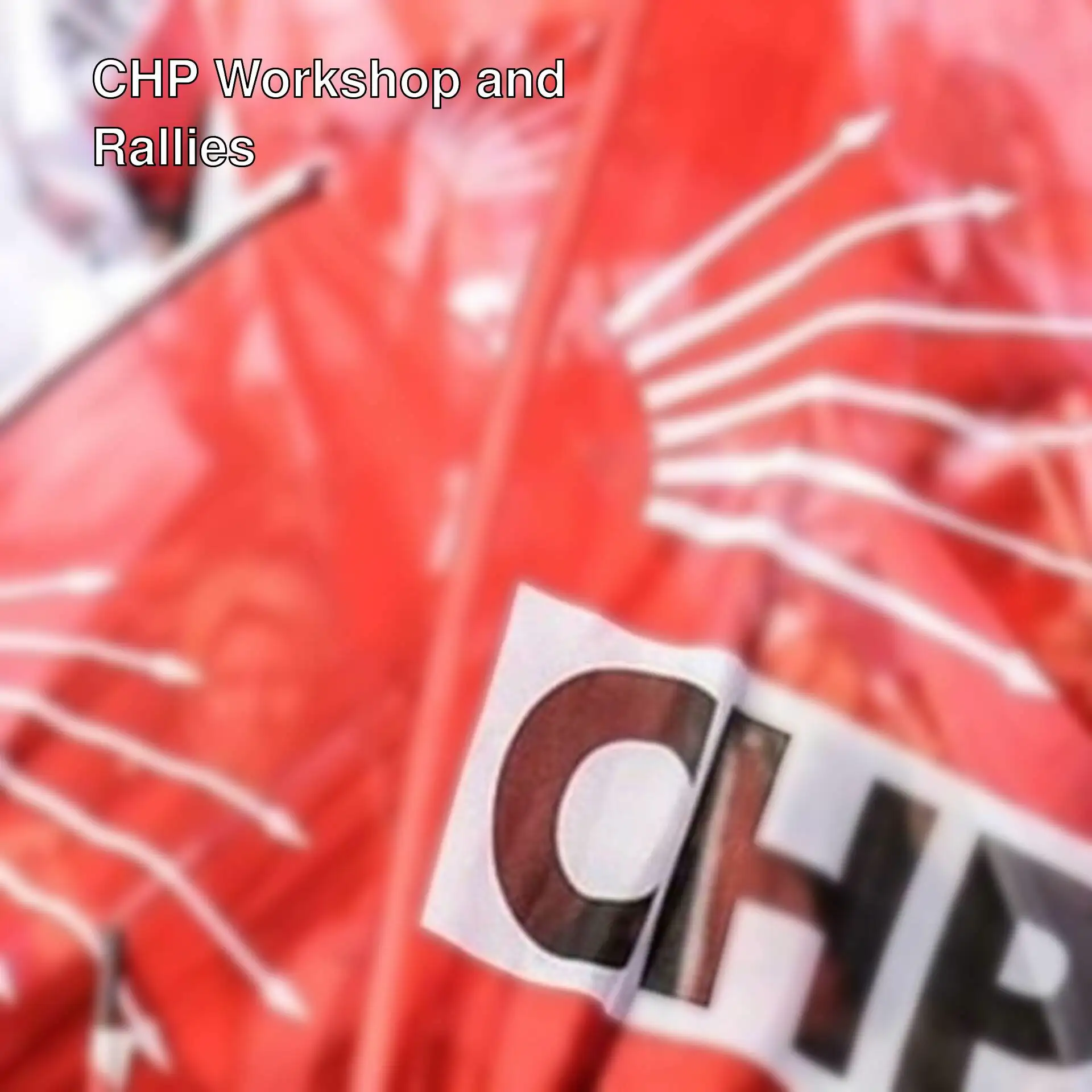 CHP flag CHP flag