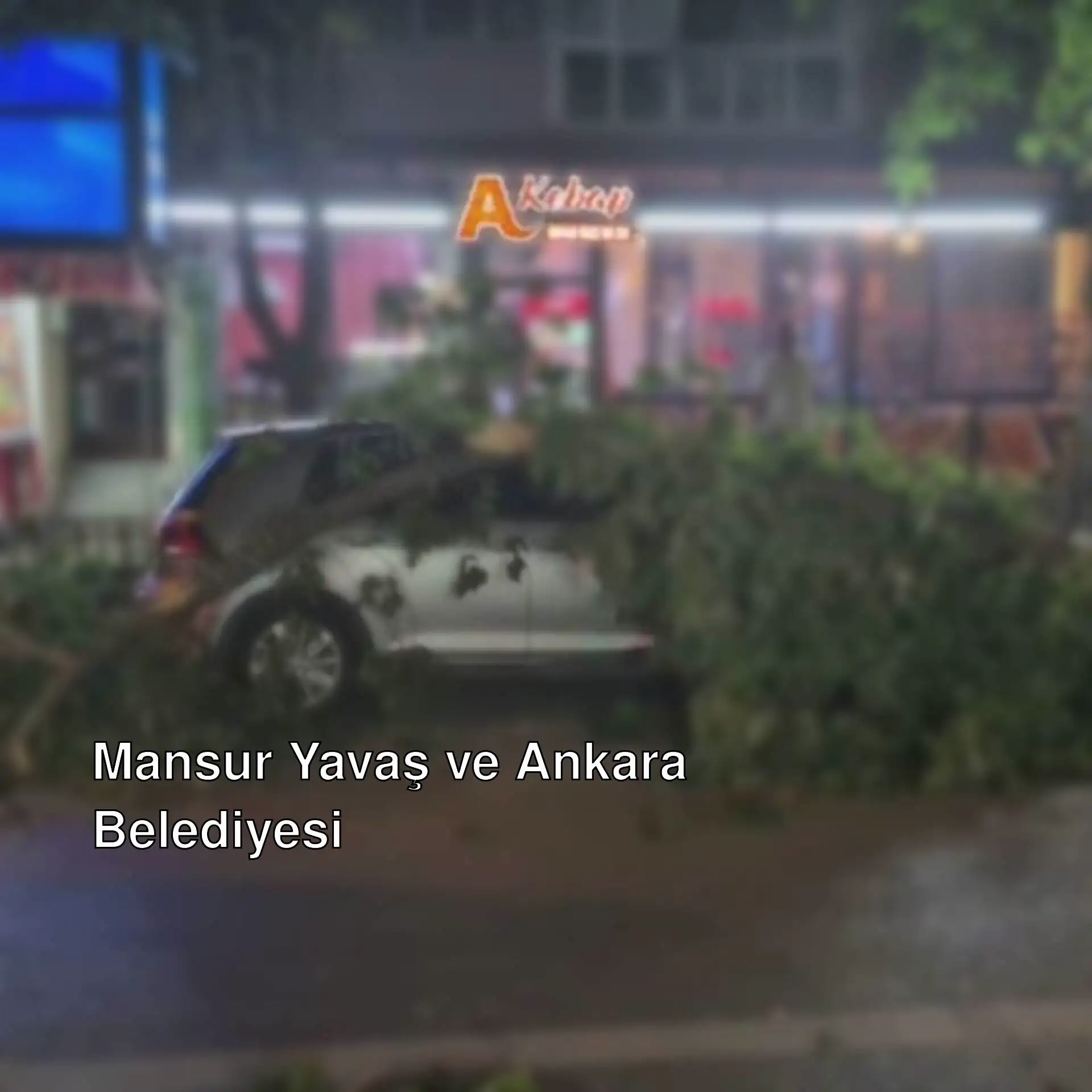 A tree fallen over a car in Edirne. A tree fallen over a car in Edirne.