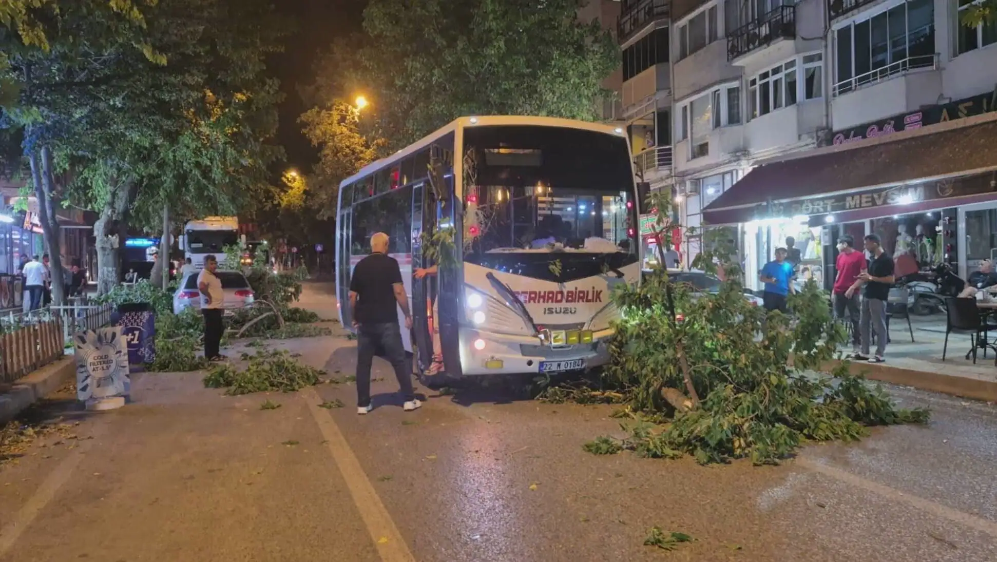 A bus crashed into a tree. A bus crashed into a tree.