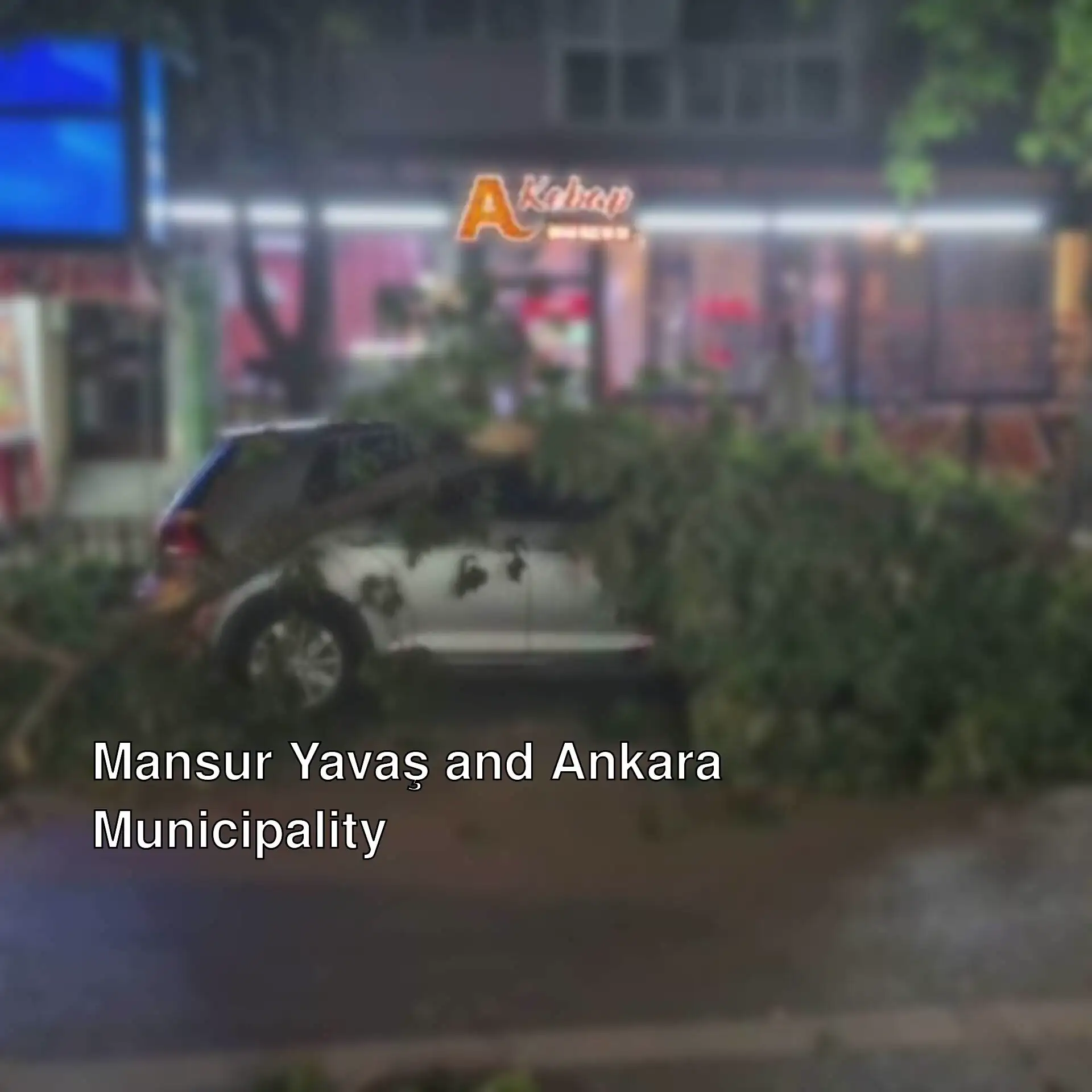 A tree fallen over a car in Edirne. A tree fallen over a car in Edirne.