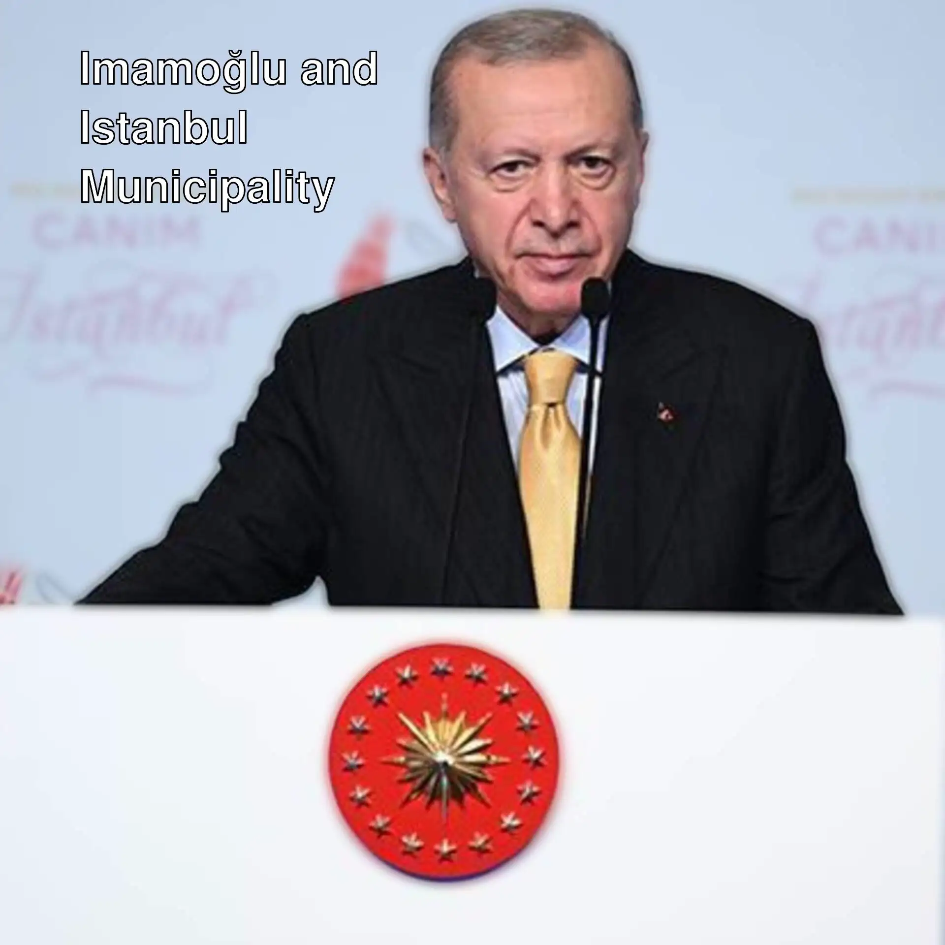 President Erdoğan speaks at an event in Istanbul. President Erdoğan speaks at an event in Istanbul.