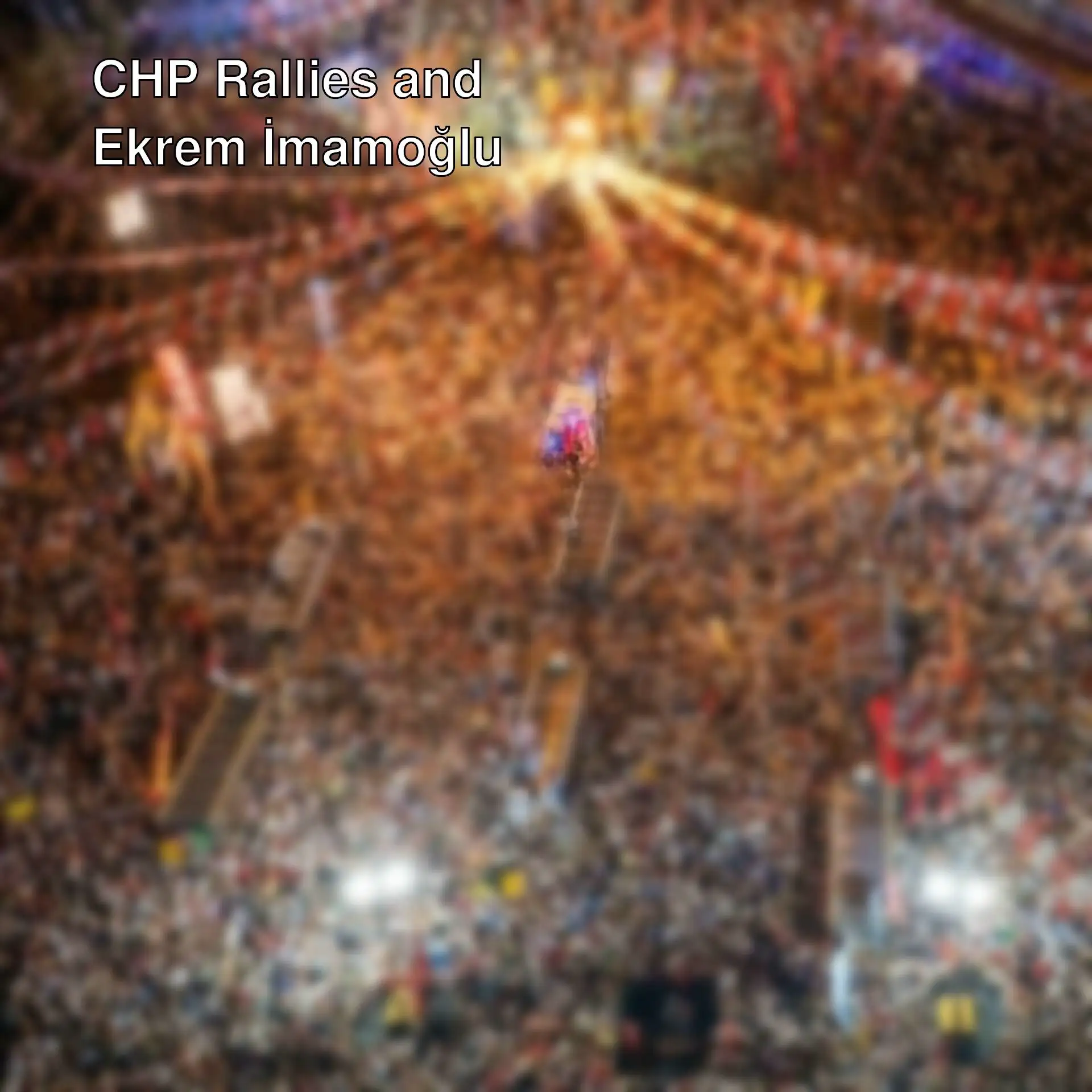 A large crowd gathered at the rally.