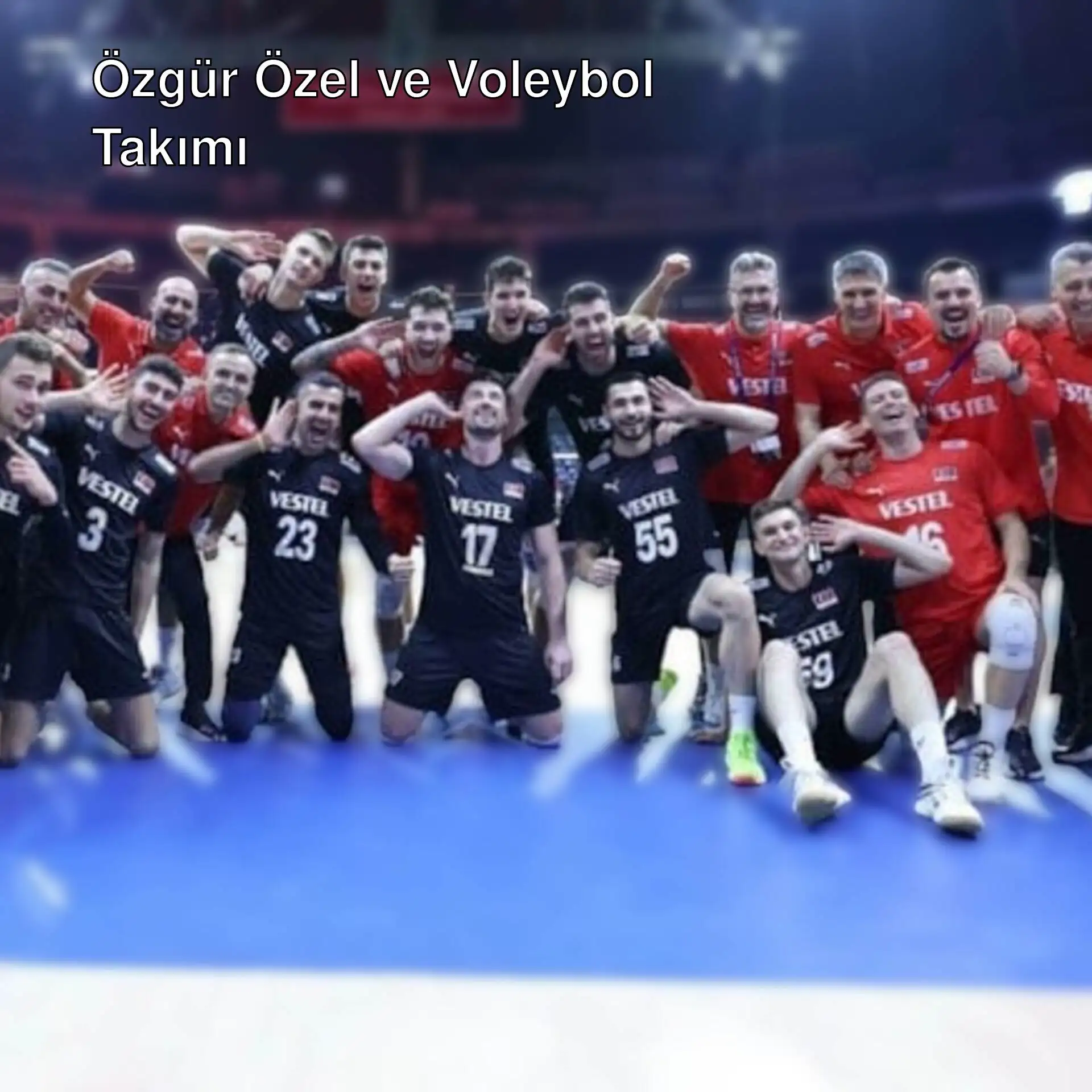 A Milli Erkek Voleybol Takımı'nın fotoğrafı