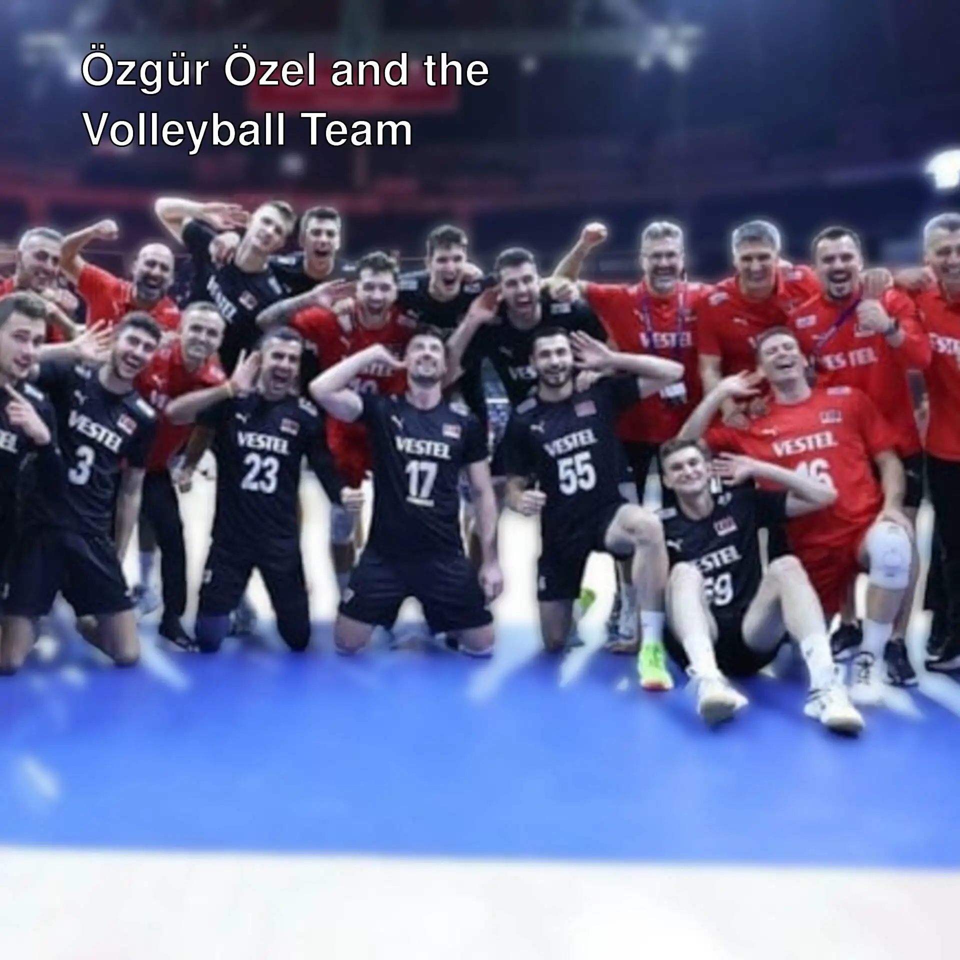 Photo of the Turkish Men's National Volleyball Team