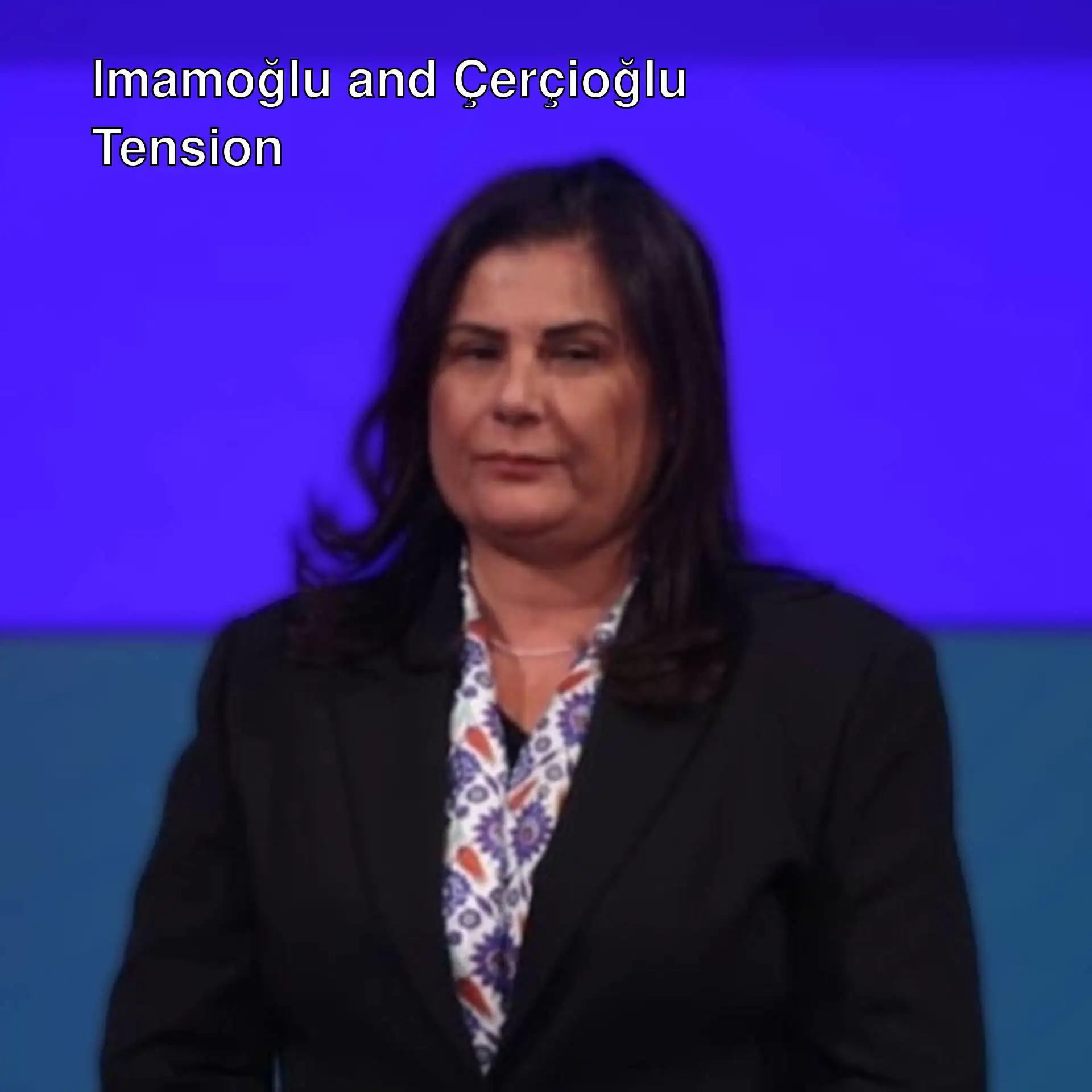 Criminal complaint against Özlem Çerçioğlu
