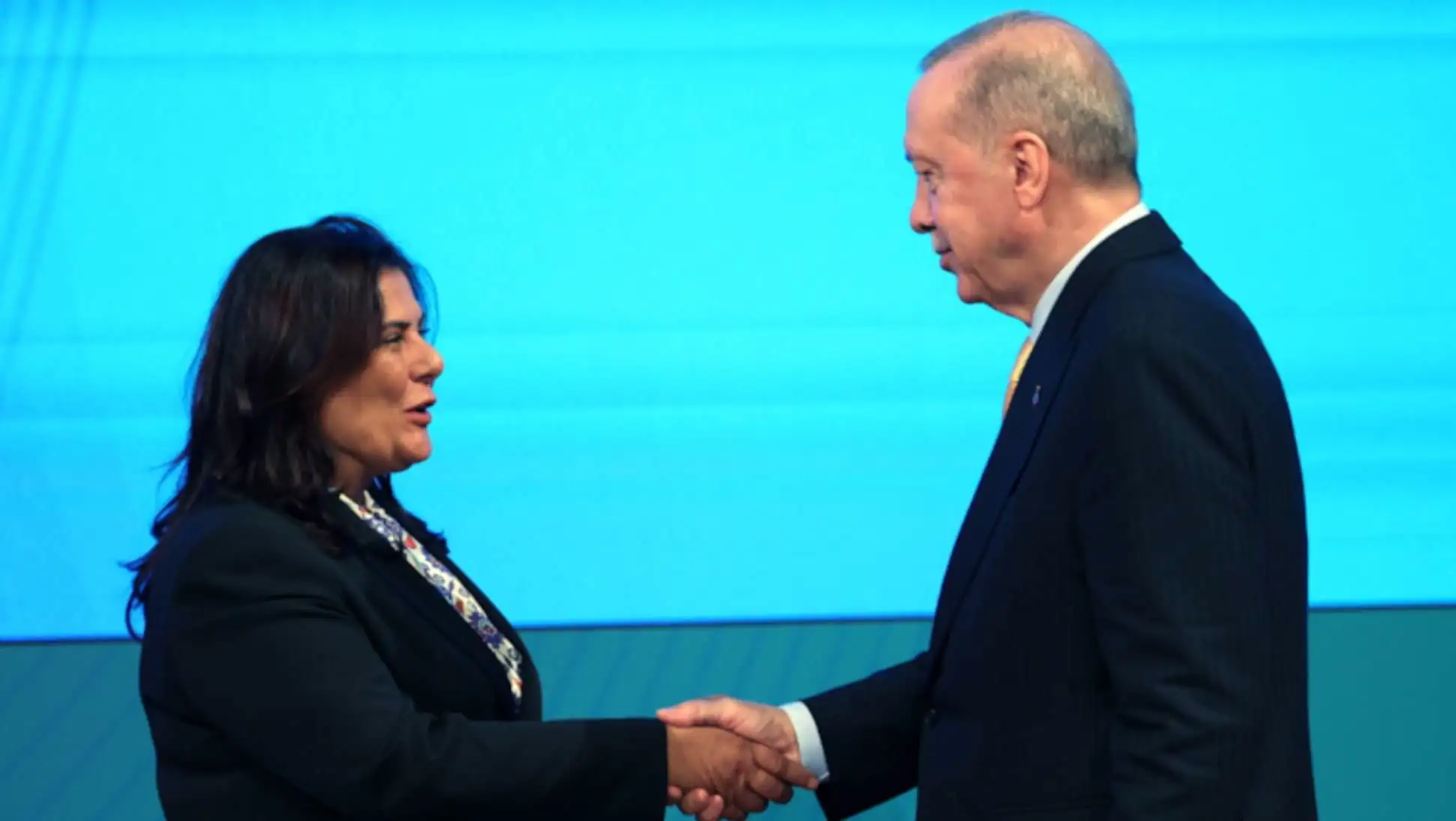 Two people shaking hands.