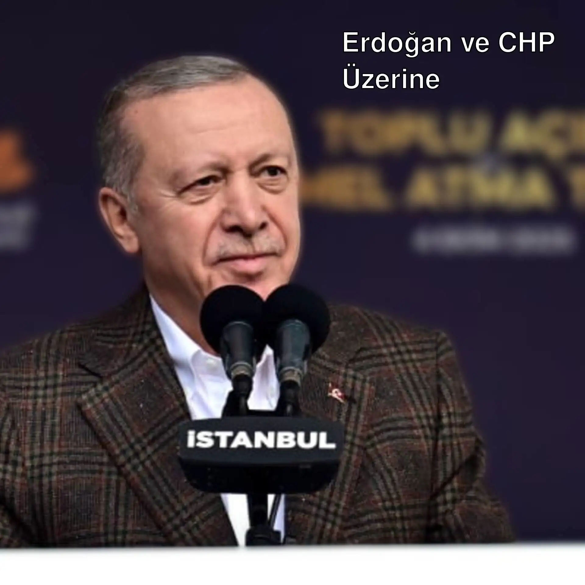 Cumhurbaşkanı Erdoğan, CHP'yi eleştiriyor.