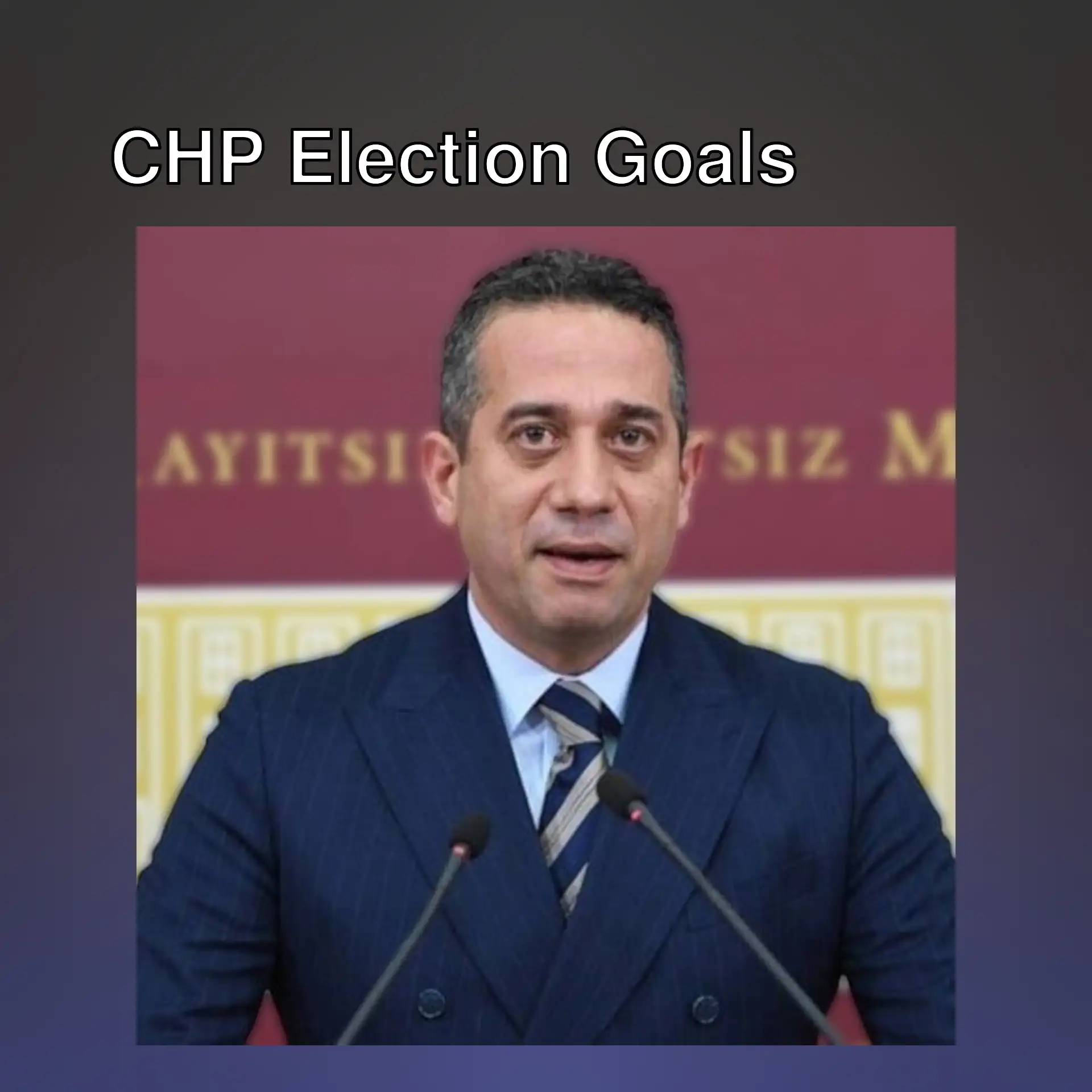 CHP's Ali Mahir Başarır at a press conference. CHP's Ali Mahir Başarır at a press conference.