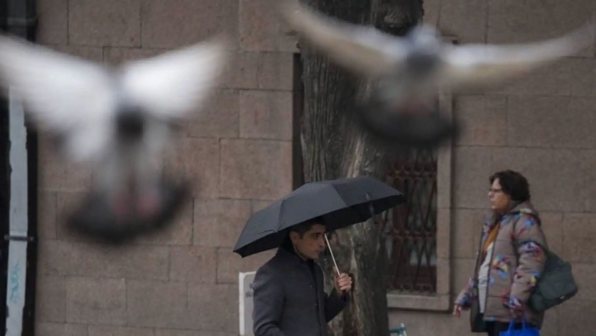 A man holding an umbrella and flying birds.