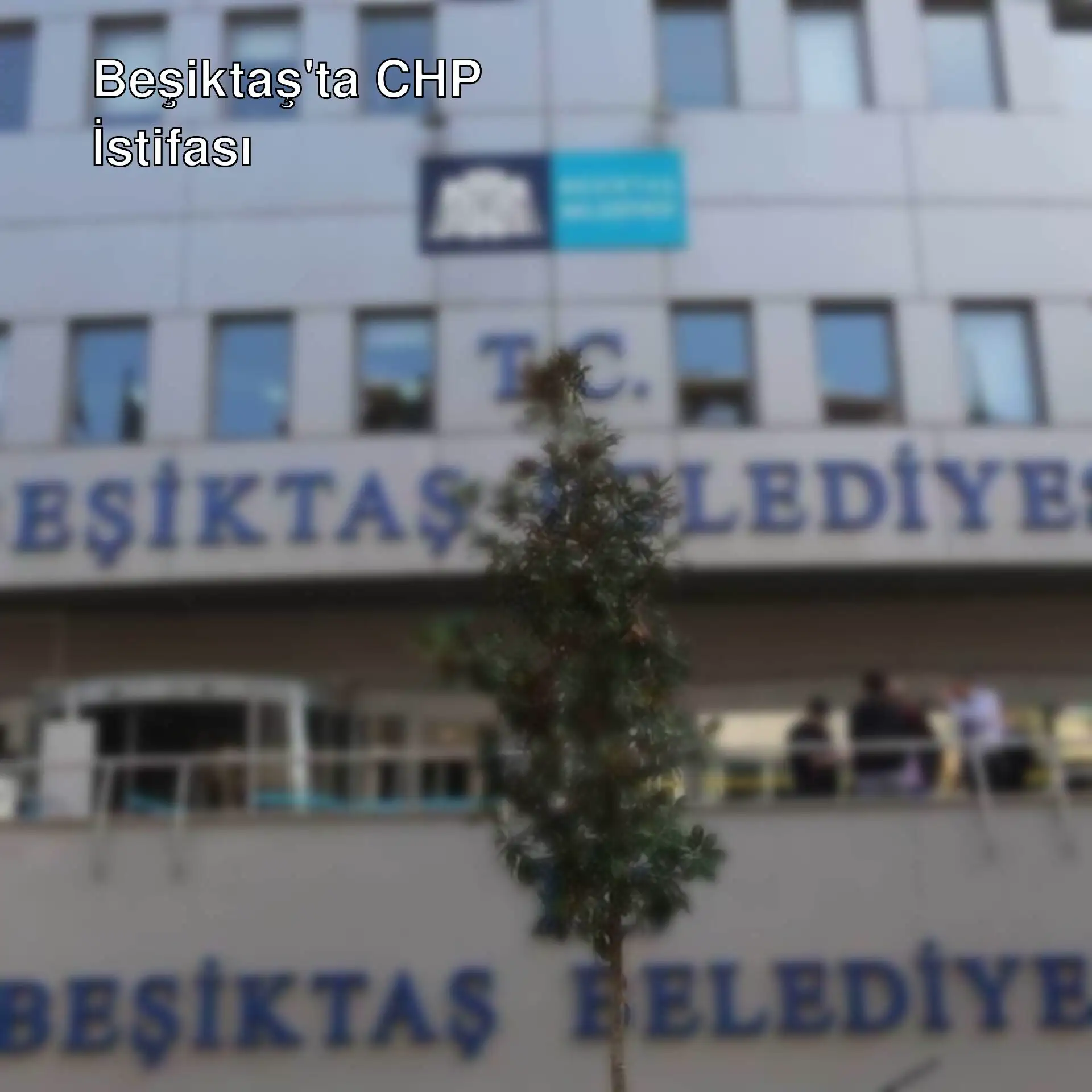 Beşiktaş Belediye Meclisi toplantısı. Beşiktaş Belediye Meclisi toplantısı.