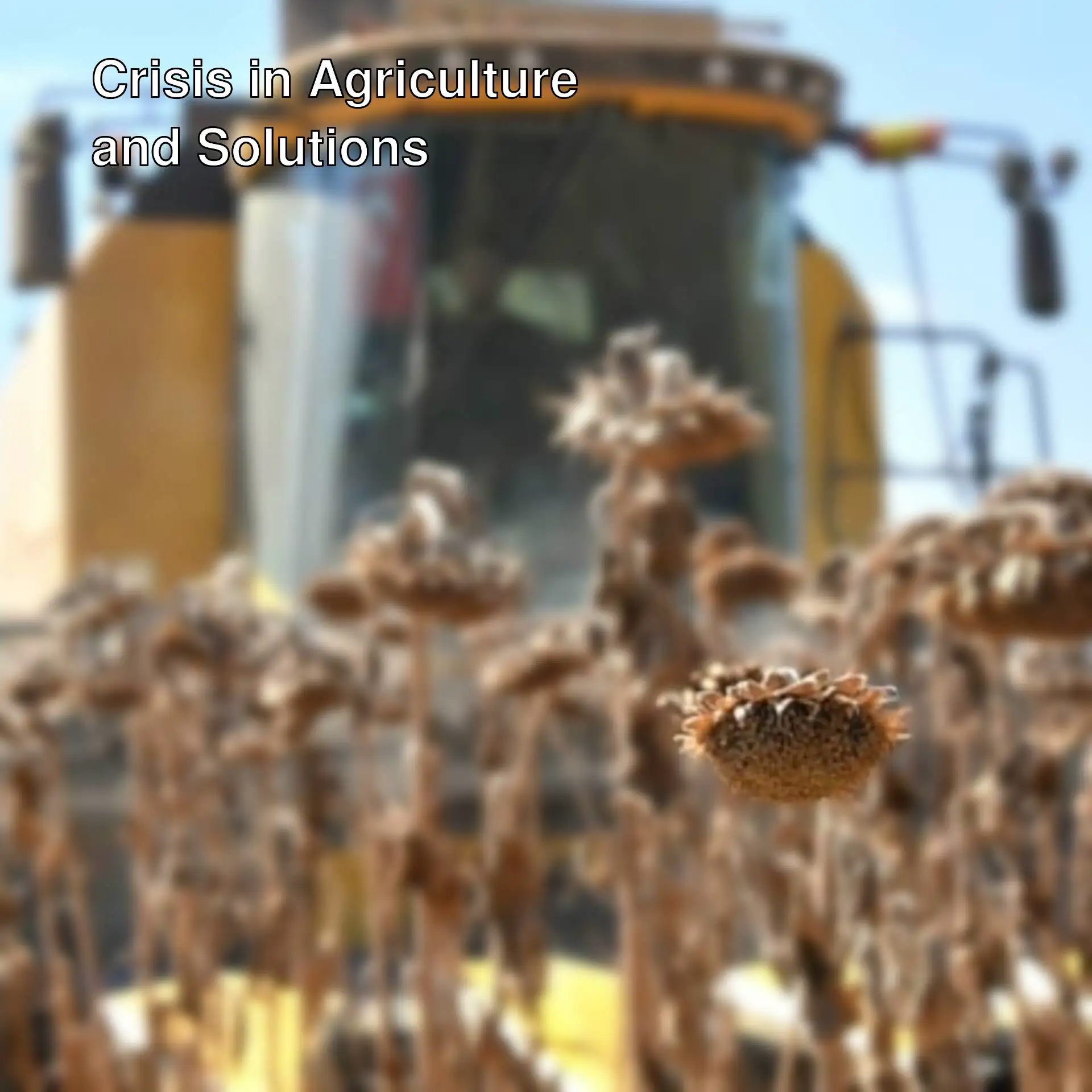 CHP Deputy Durmaz highlights issues in agriculture. CHP Deputy Durmaz highlights issues in agriculture.